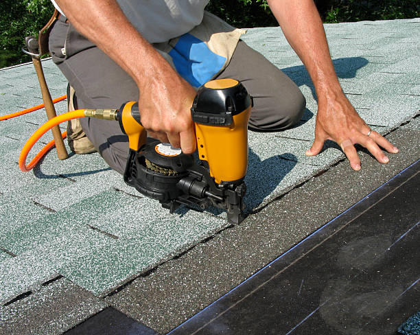 Best Roof Gutter Cleaning  in Belvedere, SC